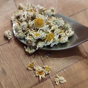 Camomille romaine (fleurs)