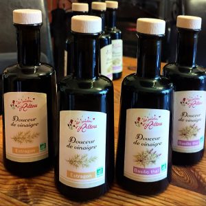Douceur de vinaigre - Basilic Thaï
